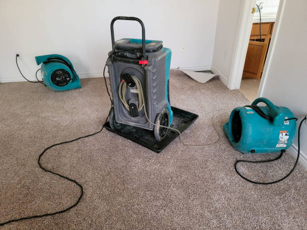Best Commercial water damage restoration  in Woodmont, CT