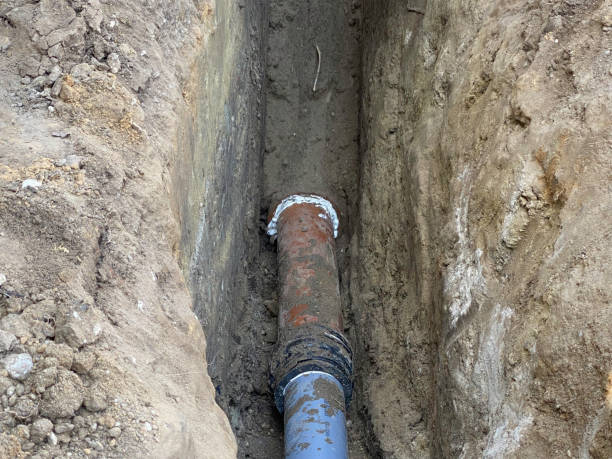Best Basement water damage restoration  in Woodmont, CT
