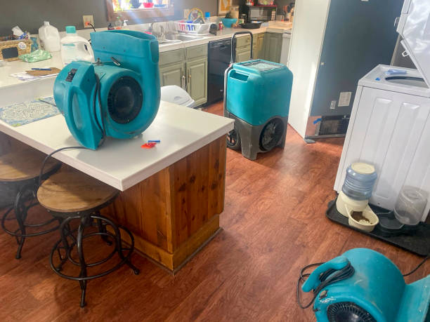 Best Water damage contractors near me  in Woodmont, CT