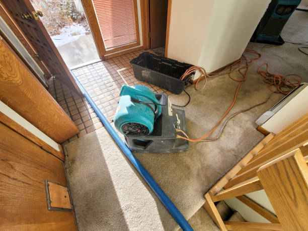 Best 24-hour water damage restoration  in Woodmont, CT