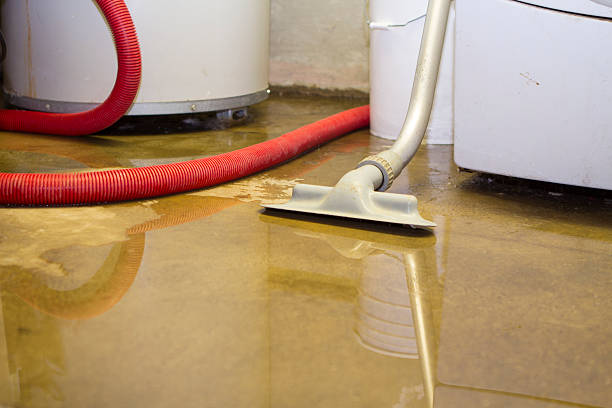 Best Water damage restoration near me  in Woodmont, CT