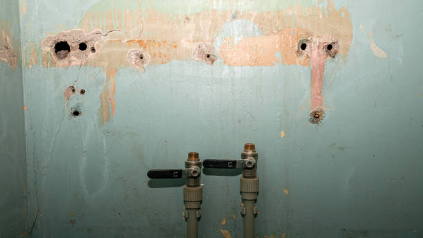 Best Sewage cleanup and water damage restoration  in Woodmont, CT