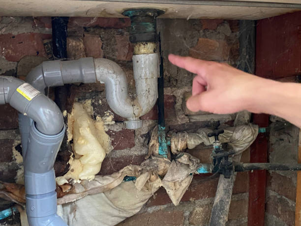 Best Flood restoration services  in Woodmont, CT