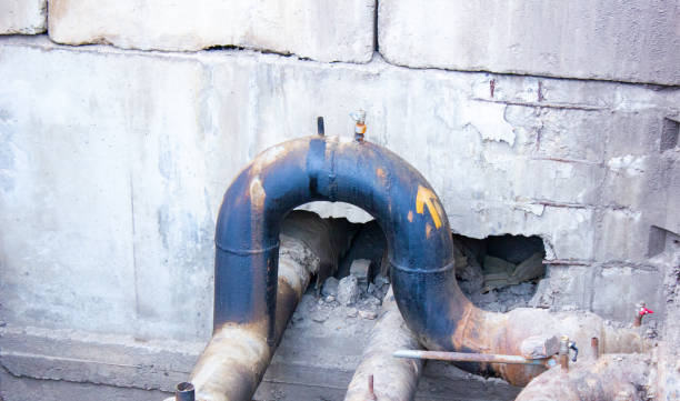 Best Water damage restoration services  in Woodmont, CT